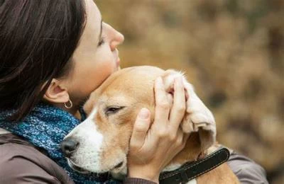 7 Touching Stories Of Pets And Their Owners