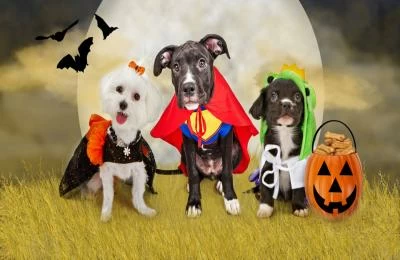 5 Coolest Dog Portrait Costumes This Halloween