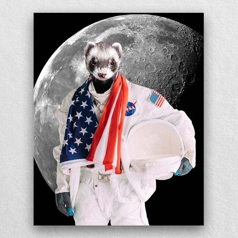 Pets In Astronaut Costume Portraits Cool Animal Portraits
