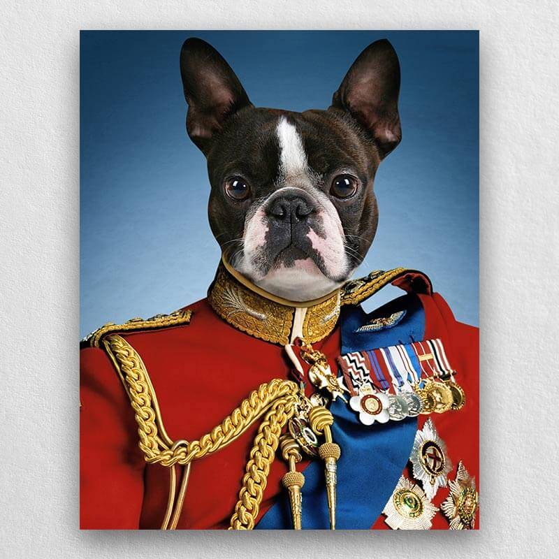 Prince Cat Portrait Royal Dog Paintings Pet Face Portraits