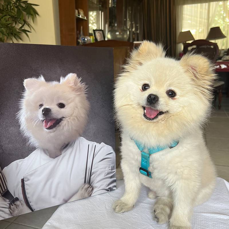 Chef Pet Painting From Photo Dogs In Portraits