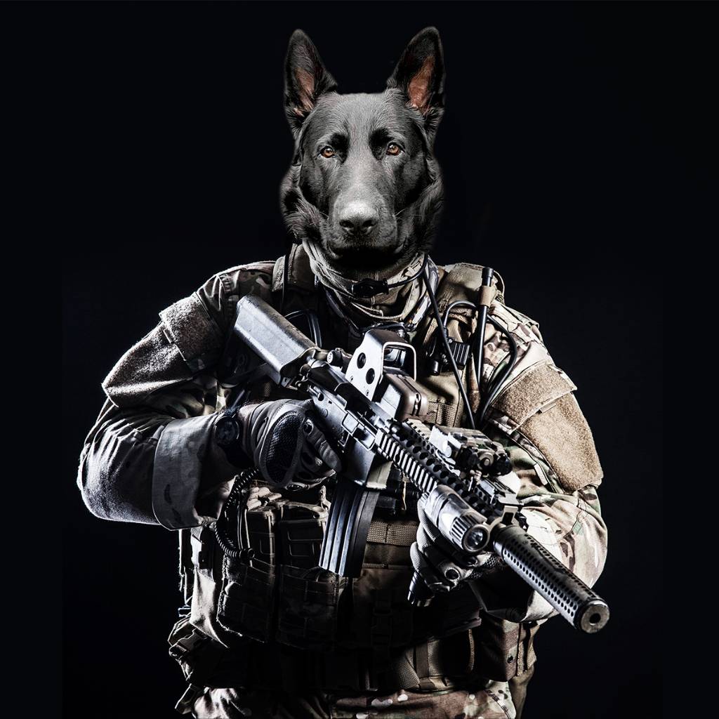 Soldier Pet Portrait Painting Cool Dog Portraits