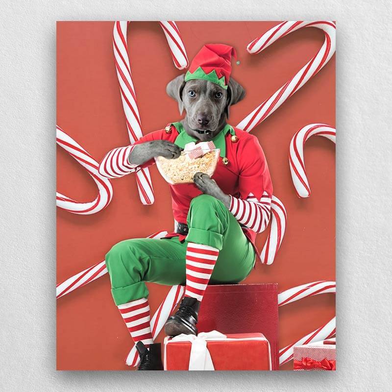 Holiday Pet Portraits Funny Pet Canvas