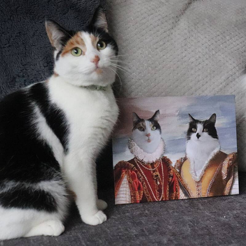 Elegant Lady Cat Portrait Pet Dog Portraits