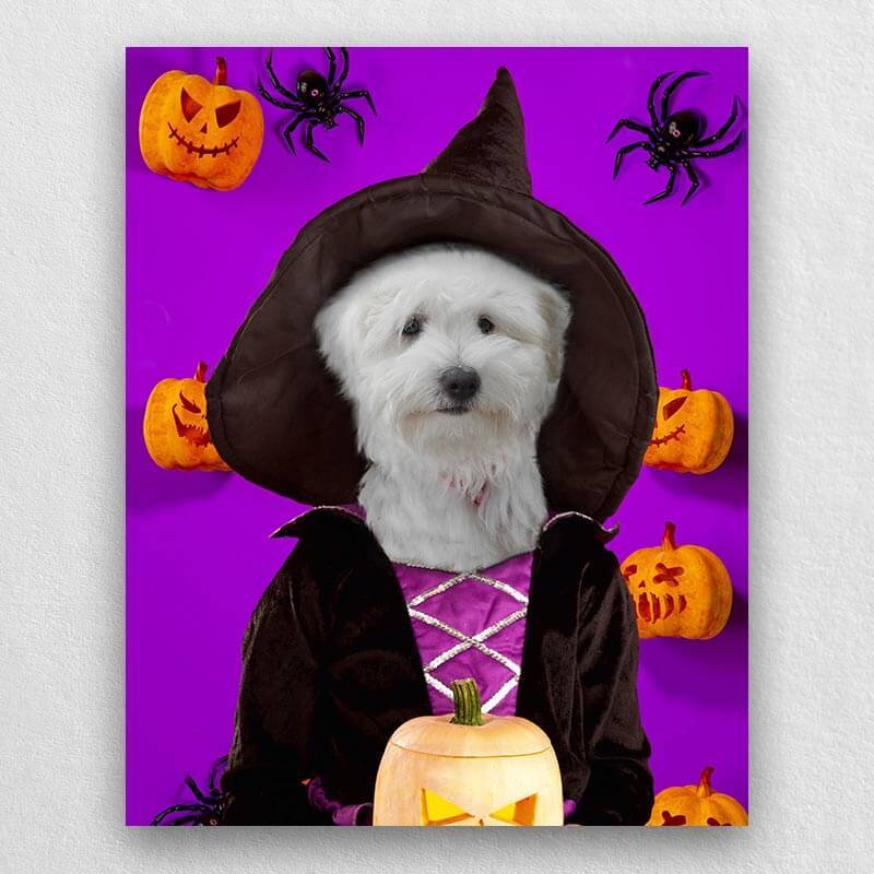 Witch Pets In Costume Portraits