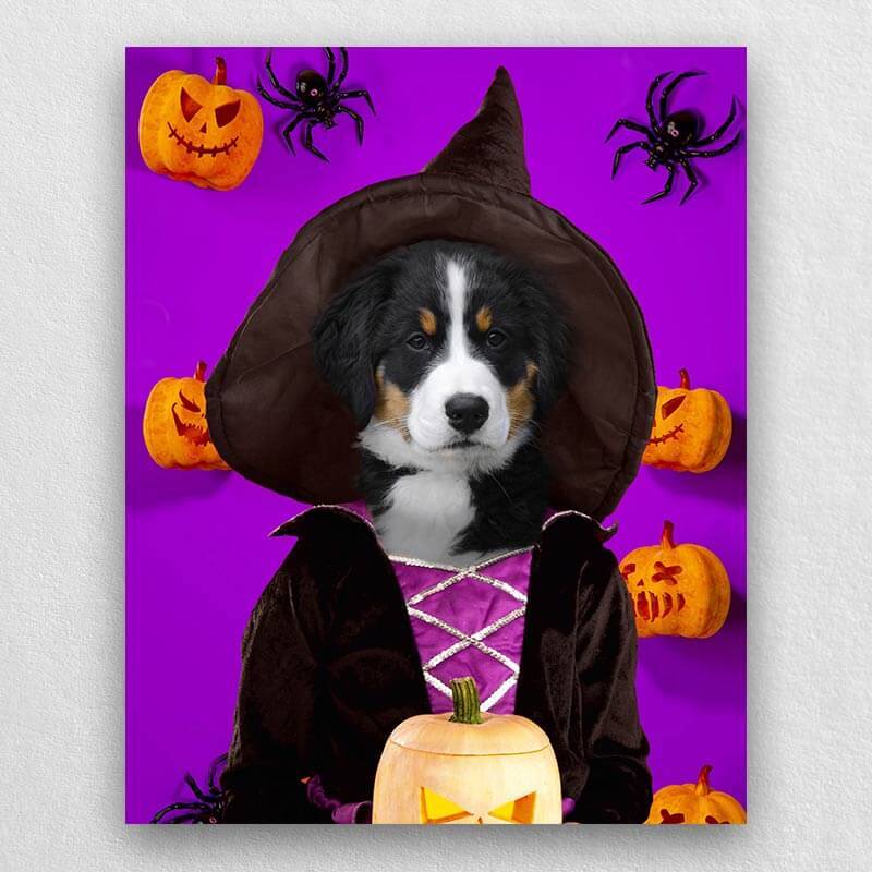 Witch Pets In Costume Portraits