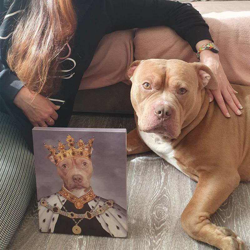 Best Royal King Custom Pet Portraits