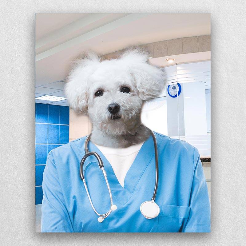 Pet Portraits Dressed Up As A Professional Surgeon