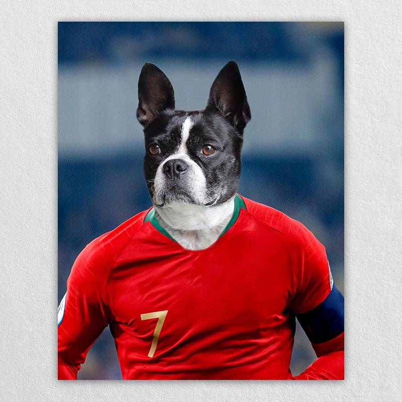 Famous Pet Soccer Player During The Match Portraits