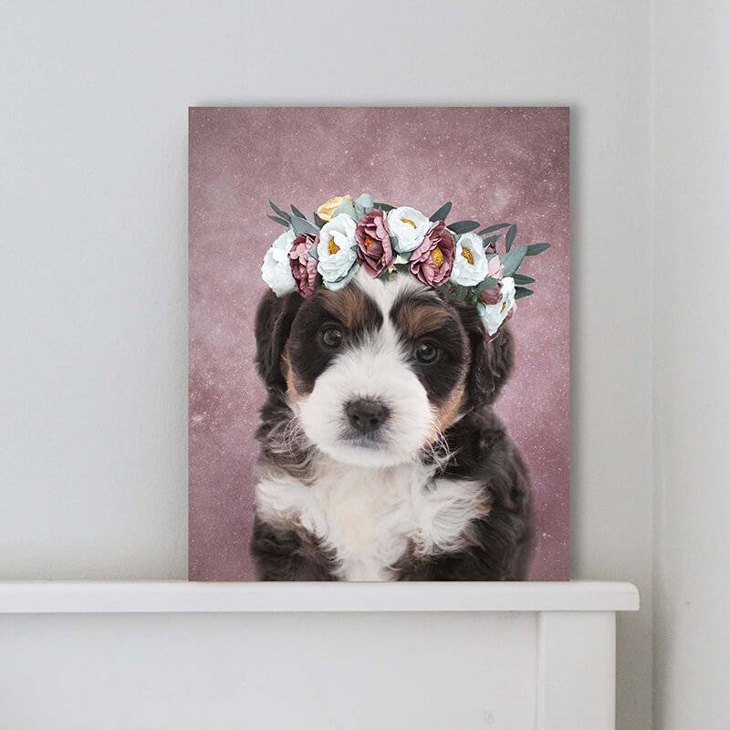 Colorful Pet Portraits Personalised Canvas Art