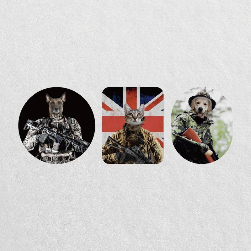 Custom Soldier Pet Portrait Stickers