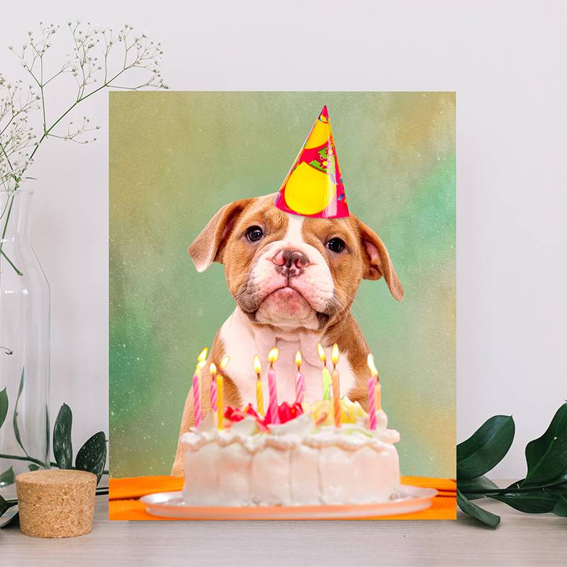 Personalized Pet Canvas Customized Gifts For Friends