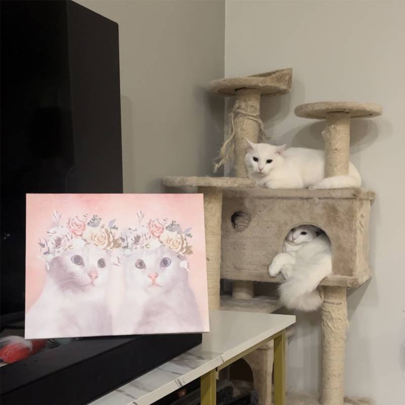Custom Cat Dog Photo Canvas
