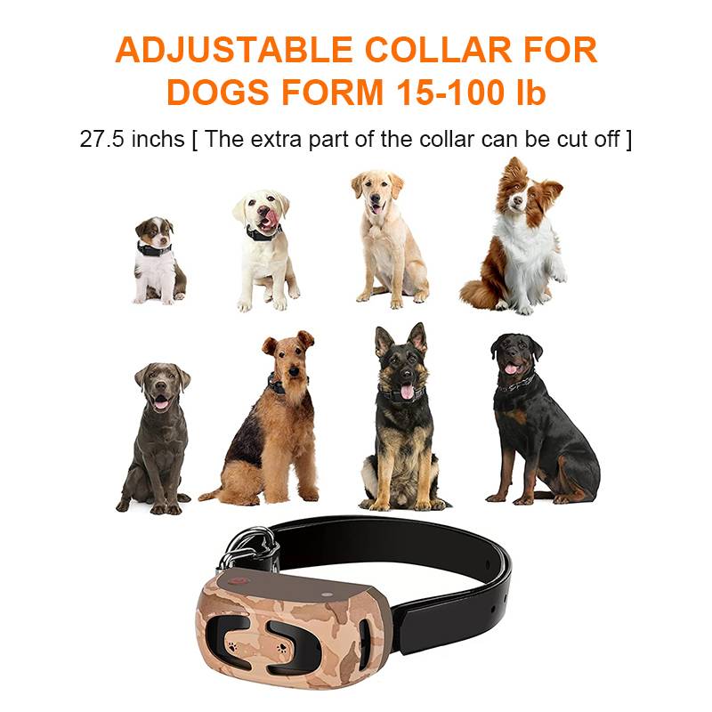 Shock Collar For Dogs Dog Training Collar