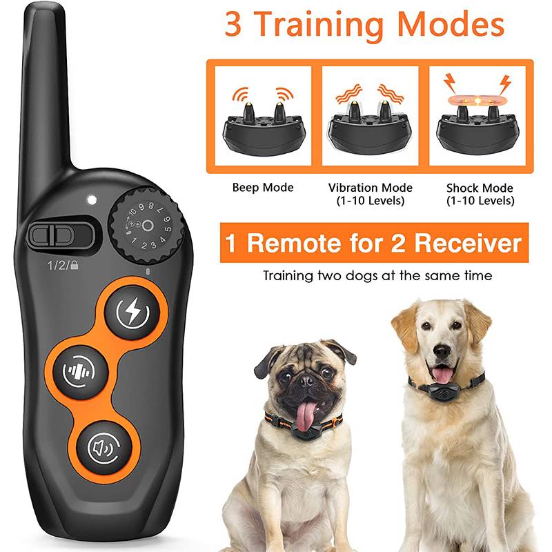 E Collar Technology Best Dog Training Collar