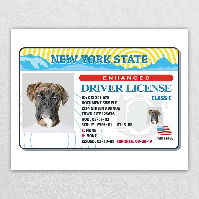  New York Driver License Custom Dog Tag for Pets and