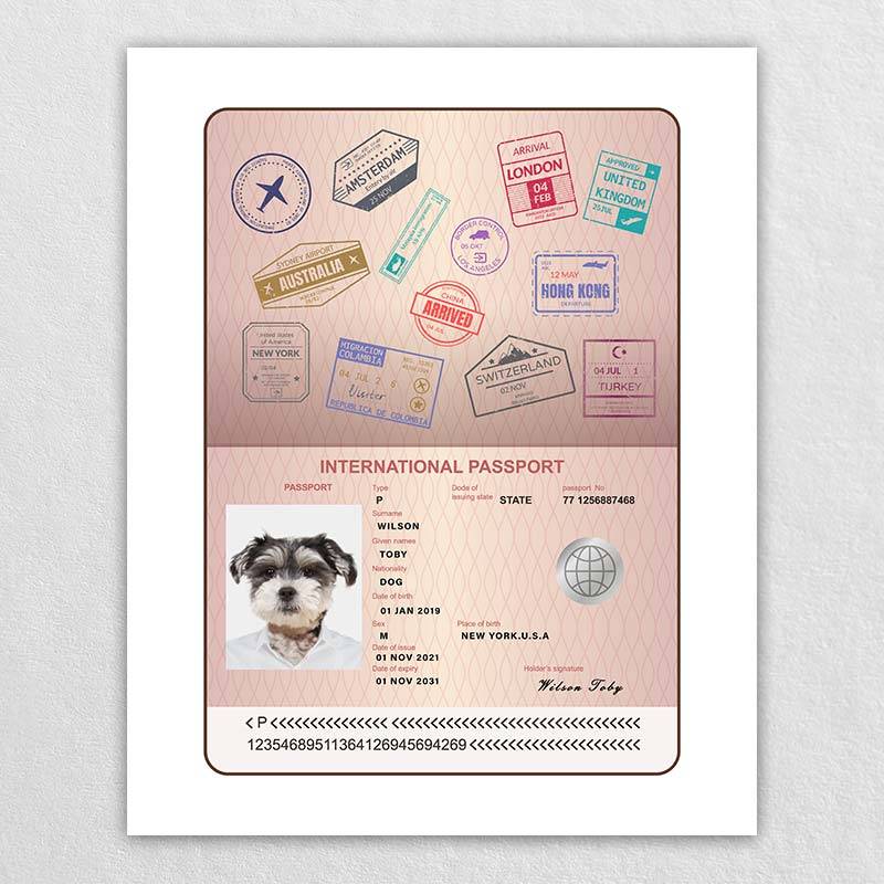 Pet Passport  Funny Pet Id Tags