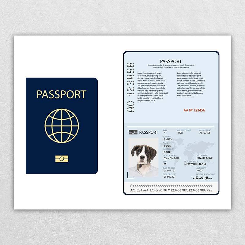 Passport For Pet Dog Id Card