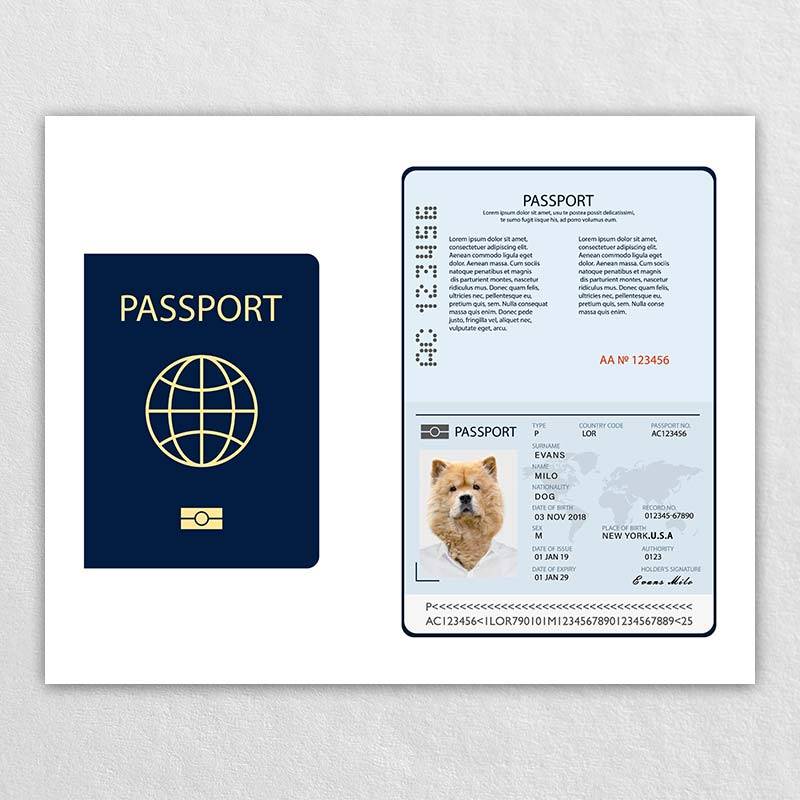 Passport For Pet Dog Id Card
