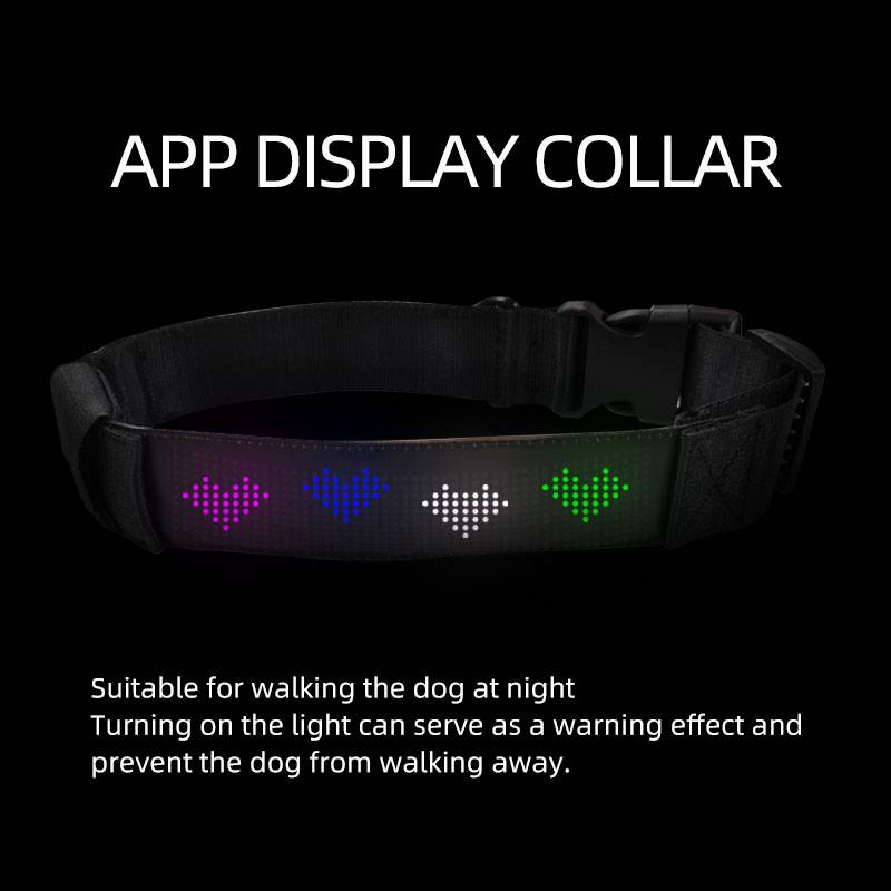 Led Display Pet Collar Bluetooth App Control
