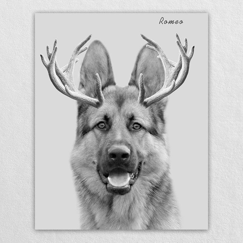 Custom Elk Antlers Wonder Pet Portraits