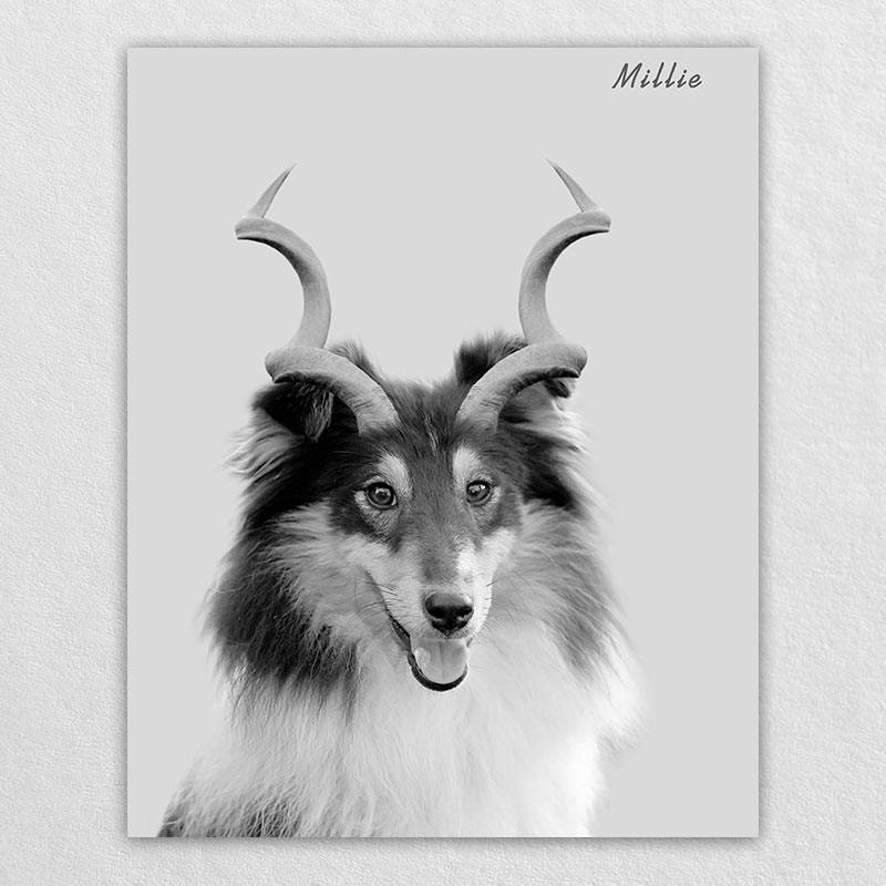 Gazelle Antlers Whimsical Pet Portraits
