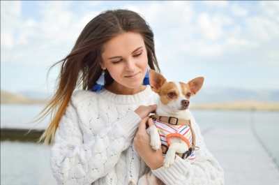 7 Tips to Be a Better Pet Owner