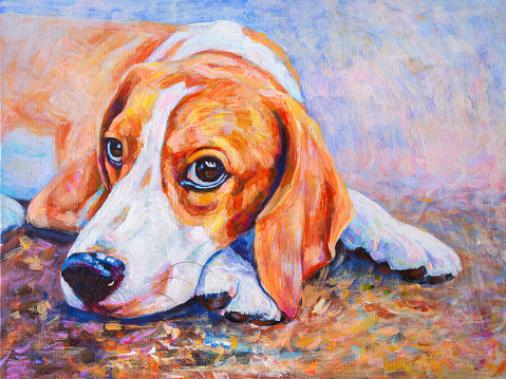 custom colorful dog painting