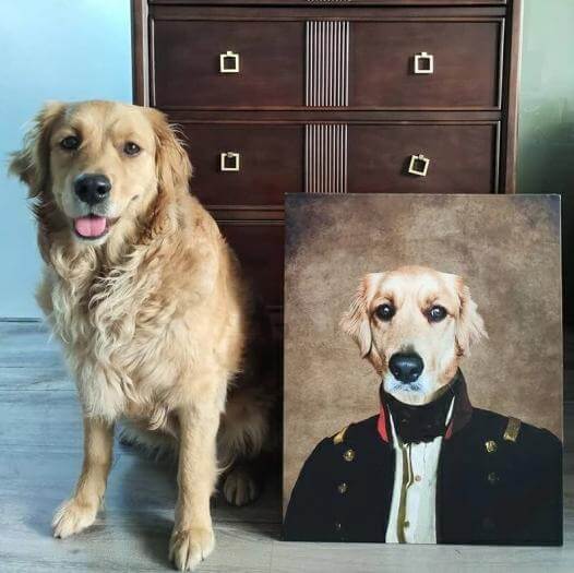 dog digital portraits