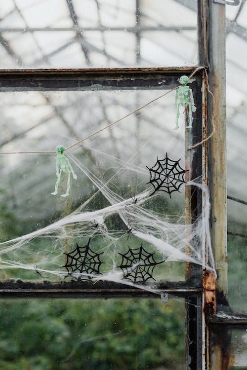 halloween decoration gift ideas spider webs