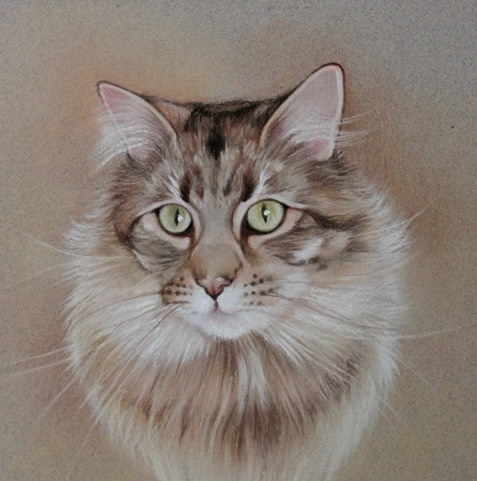 personalized cat portrait