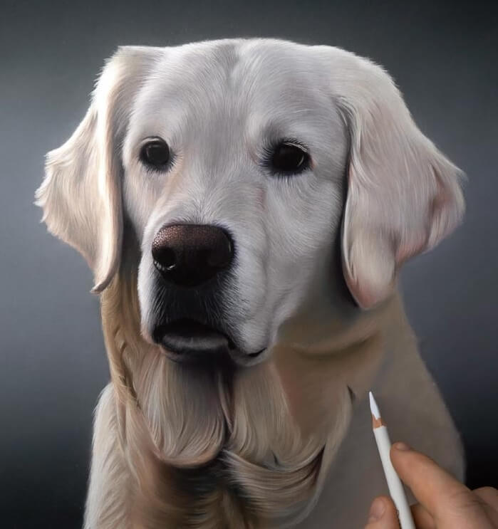 realistic dog portrait