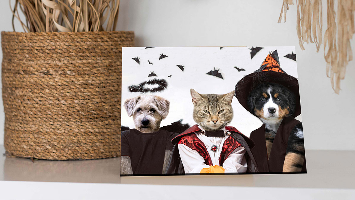 cat painting in scary yet elegant halloween costumes