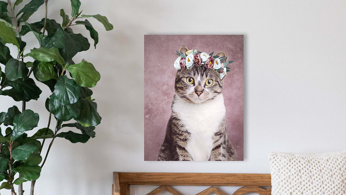 cat portrait canvas art