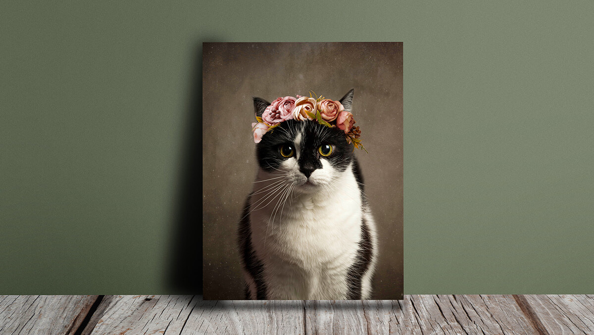 cat portrait photo canvas