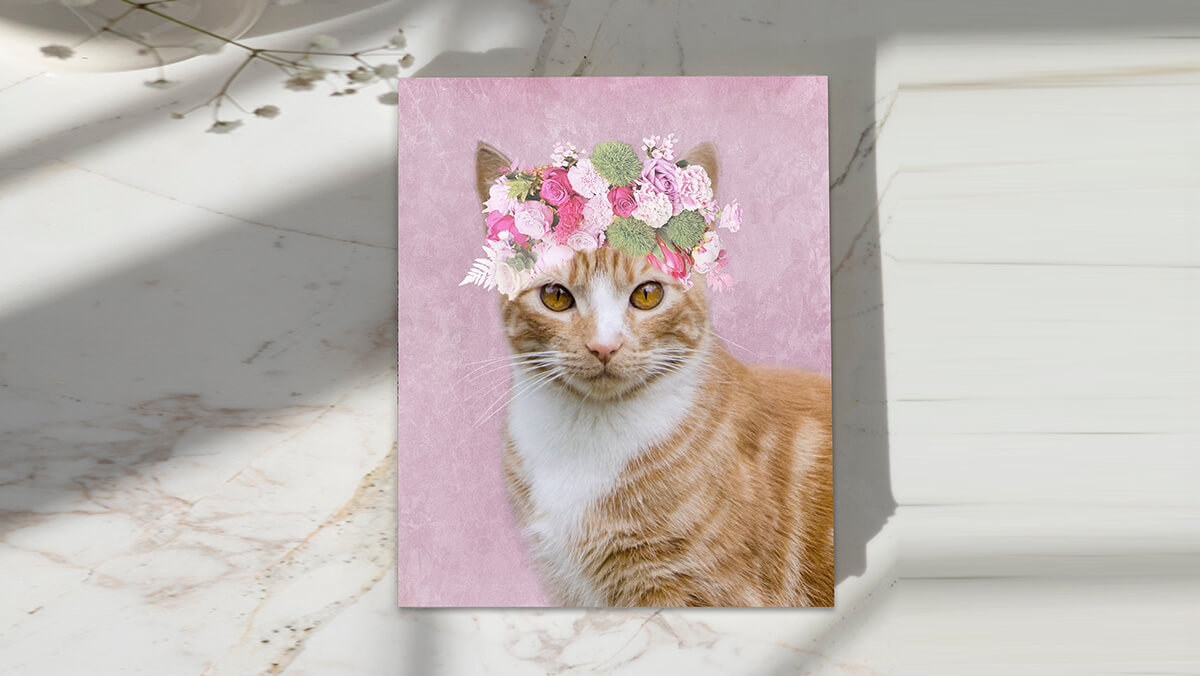 cat portraits custom gifts