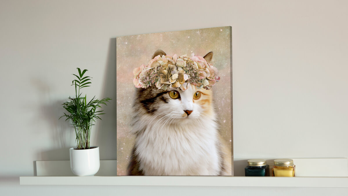 cat with flower crown painting