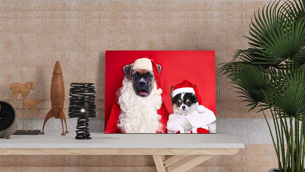 christmas pet in portraits in costume