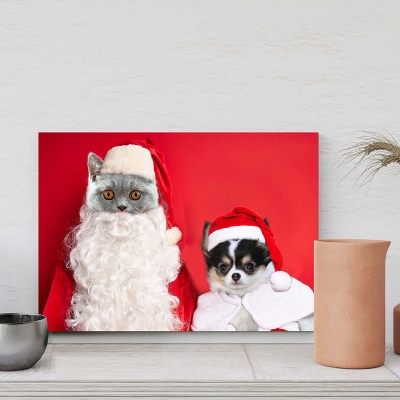 christmas pet portraits in costume