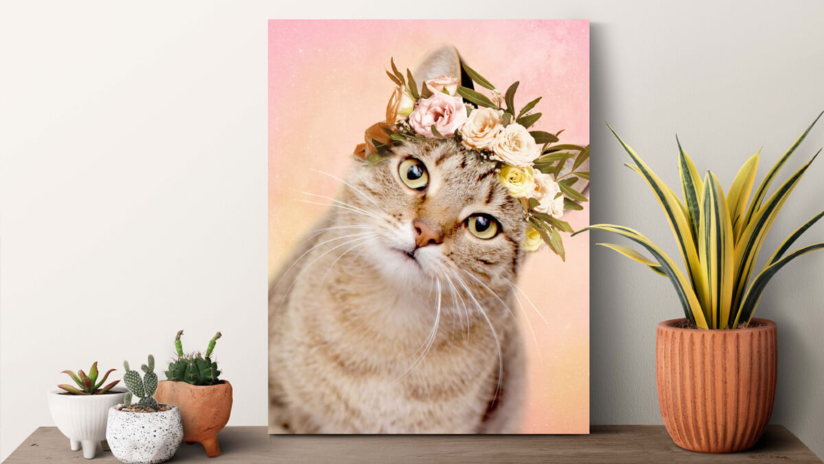 colorful cat portrait canvas art