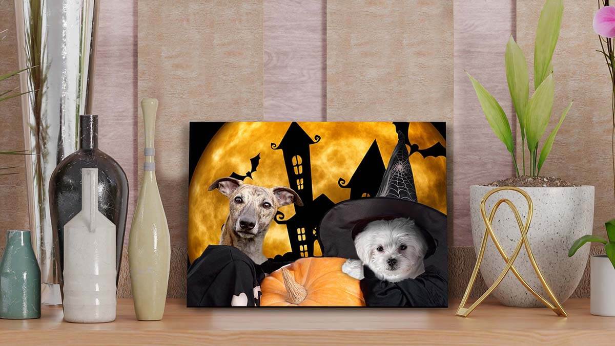 creative dog portraits halloween gift ideas