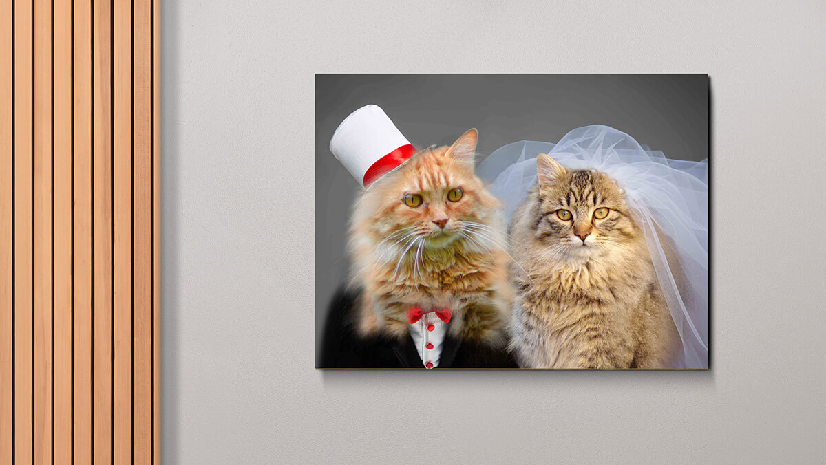 custom cat pet art prints