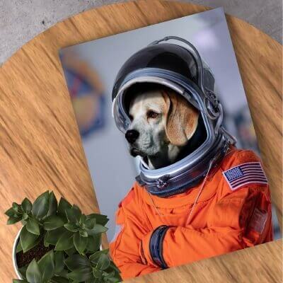 custom pet astronaut portrait