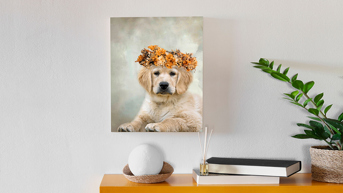 custom pet photo gift