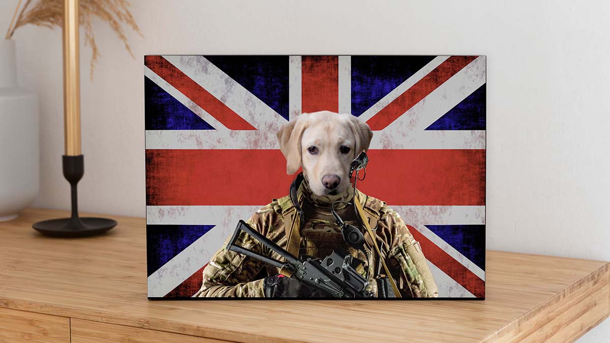 dog as the U.K. military soldier portraits