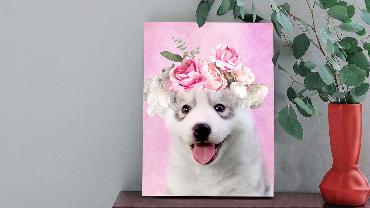 dog portrait customised wall art