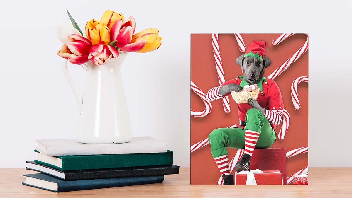 holiday pet portraits funny pet photos on canvas