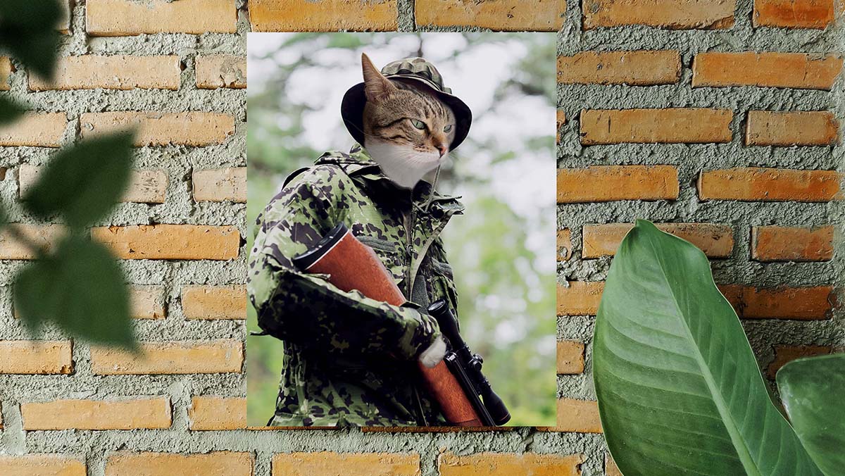 military cat soldier in field army paintings