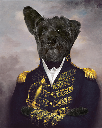 military animal portrait painting