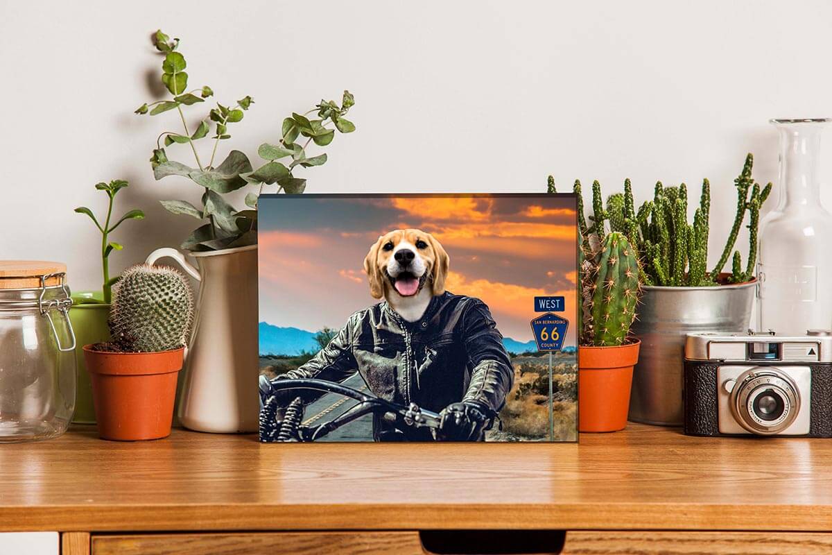 vogue dog pet portrait painting